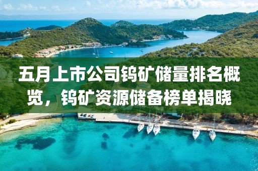 五月上市公司钨矿储量排名概览，钨矿资源储备榜单揭晓