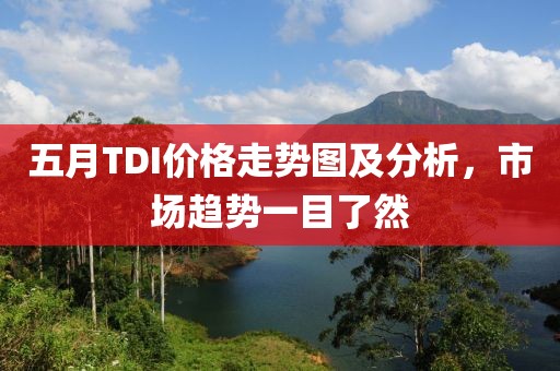 五月TDI价格走势图及分析，市场趋势一目了然