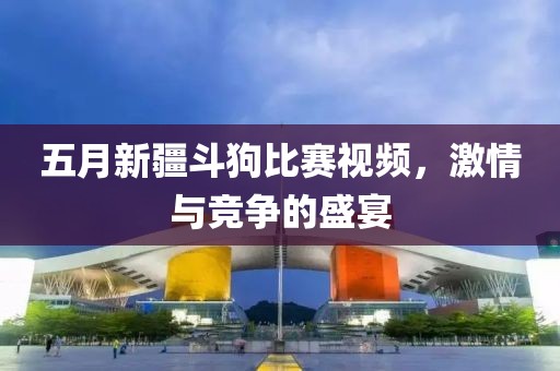 五月新疆斗狗比赛视频，激情与竞争的盛宴