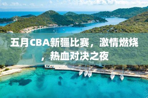 五月CBA新疆比赛，激情燃烧，热血对决之夜