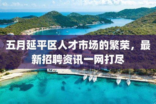 五月延平区人才市场的繁荣，最新招聘资讯一网打尽