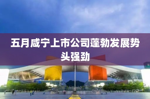 五月咸宁上市公司蓬勃发展势头强劲