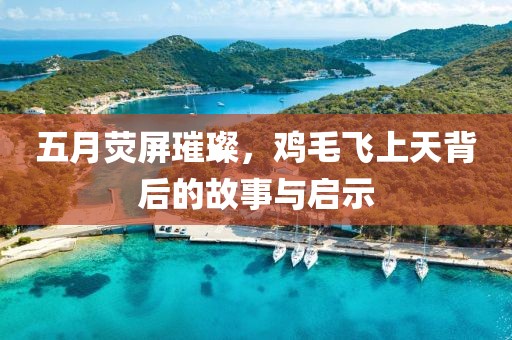 五月荧屏璀璨，鸡毛飞上天背后的故事与启示