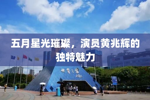 五月星光璀璨，演员黄兆辉的独特魅力