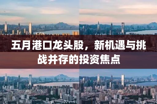 五月港口龙头股,新机遇与挑战并存的投资焦点