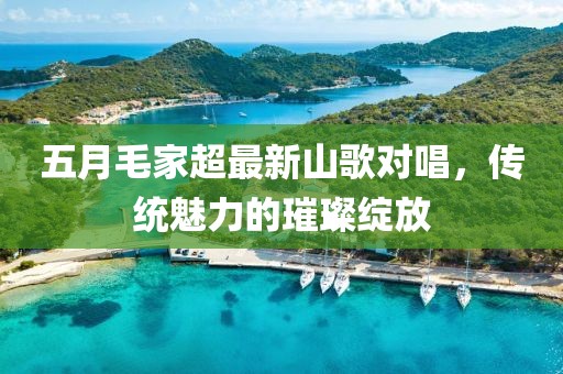 五月毛家超最新山歌对唱，传统魅力的璀璨绽放