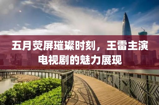 五月荧屏璀璨时刻，王雷主演电视剧的魅力展现