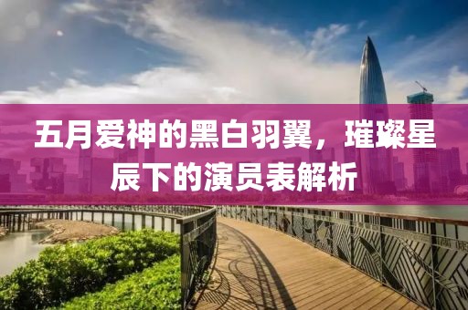 五月爱神的黑白羽翼，璀璨星辰下的演员表解析
