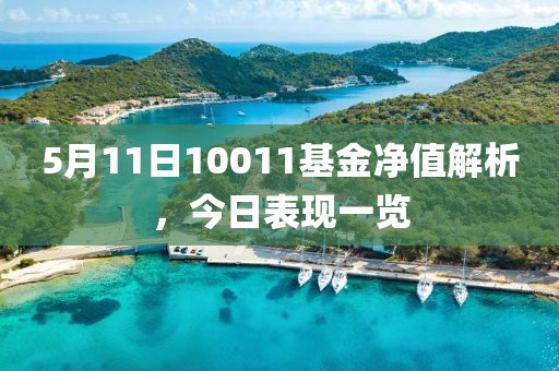 5月11日10011基金净值解析，今日表现一览