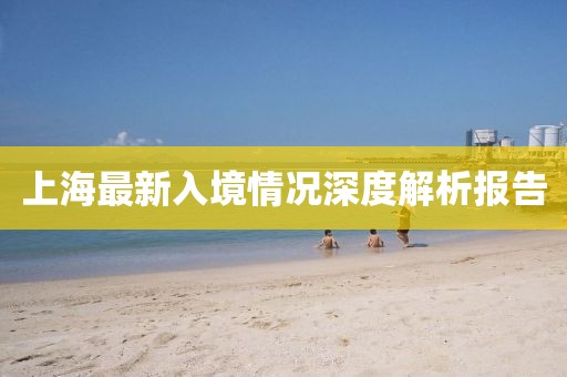 上海最新入境情况深度解析报告