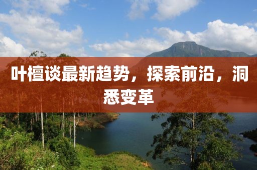 叶檀谈最新趋势，探索前沿，洞悉变革