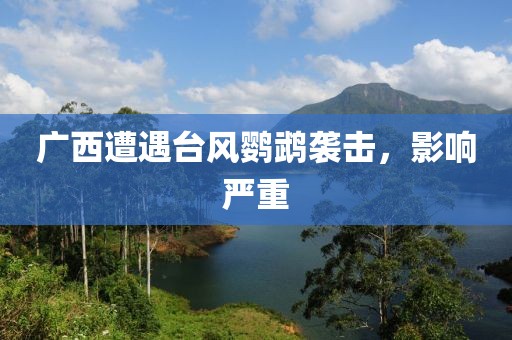 广西遭遇台风鹦鹉袭击，影响严重