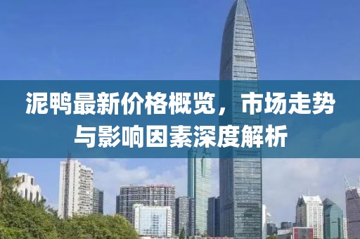 泥鸭最新价格概览，市场走势与影响因素深度解析