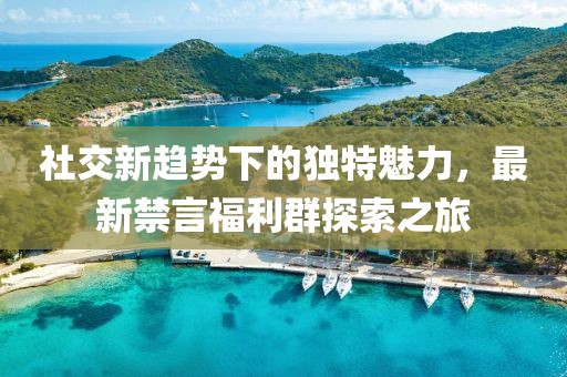 社交新趋势下的独特魅力，最新禁言福利群探索之旅