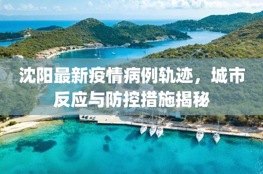 沈阳最新疫情病例轨迹，城市反应与防控措施揭秘