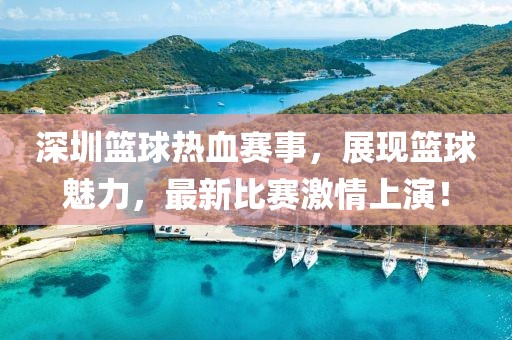 深圳篮球热血赛事，展现篮球魅力，最新比赛激情上演！