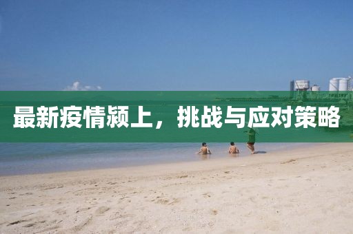 2024年12月 第651页