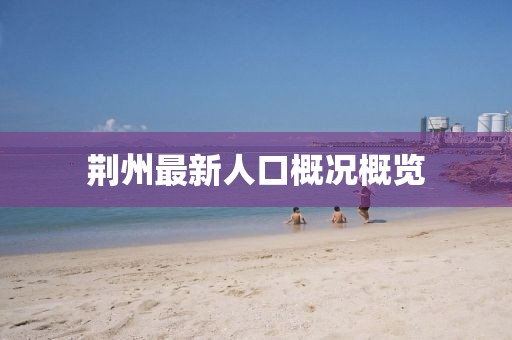 荆州最新人口概况概览