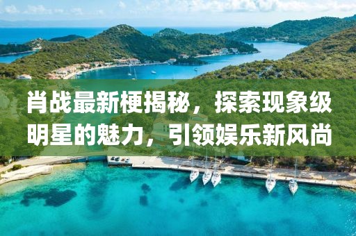 肖战最新梗揭秘，探索现象级明星的魅力，引领娱乐新风尚