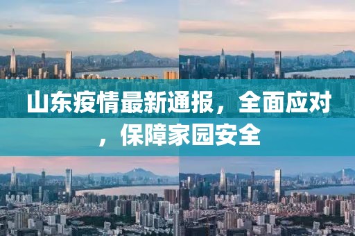 山东疫情最新通报，全面应对，保障家园安全