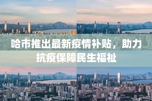 哈市推出最新疫情补贴，助力抗疫保障民生福祉