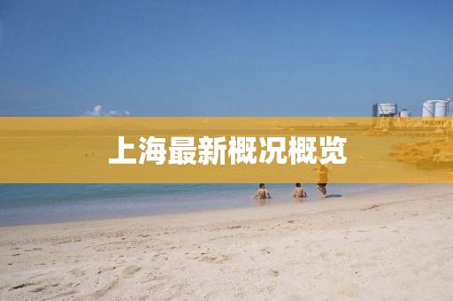 上海最新概况概览