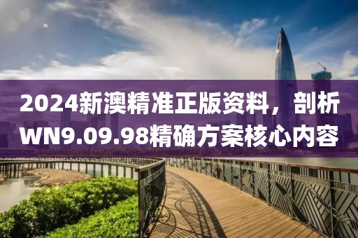2024新澳精准正版资料，剖析WN9.09.98精确方案核心内容