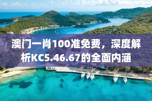澳门一肖100准免费，深度解析KC5.46.67的全面内涵