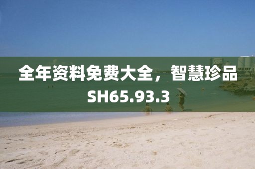 全年资料免费大全，智慧珍品SH65.93.3