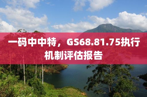 一码中中特，GS68.81.75执行机制评估报告