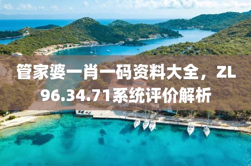 管家婆一肖一码资料大全，ZL96.34.71系统评价解析