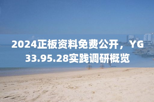 2024正板资料免费公开，YG33.95.28实践调研概览