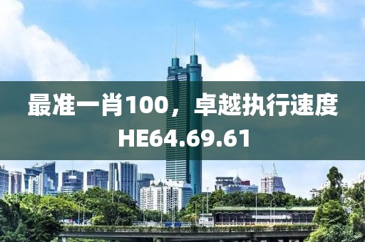 最准一肖100，卓越执行速度HE64.69.61