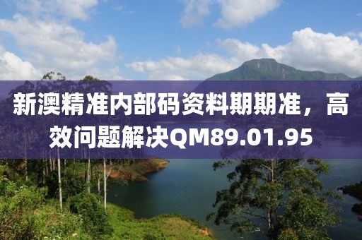 新澳精准内部码资料期期准，高效问题解决QM89.01.95