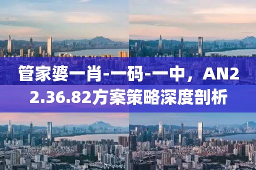 管家婆一肖-一码-一中，AN22.36.82方案策略深度剖析