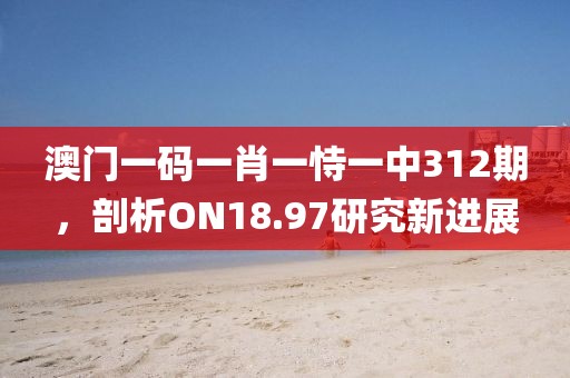 澳门一码一肖一恃一中312期，剖析ON18.97研究新进展