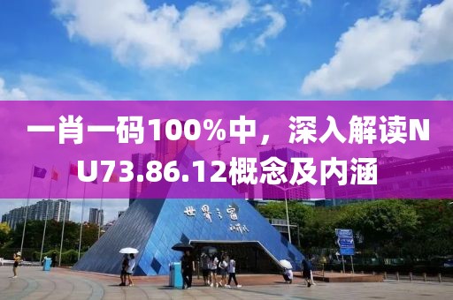 一肖一码100%中，深入解读NU73.86.12概念及内涵