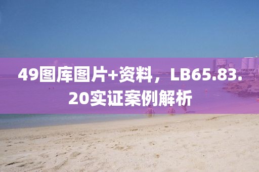 49图库图片+资料,LB65.83.20实证案例解析