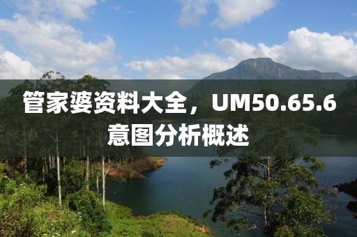 管家婆资料大全,UM50.65.6意图分析概述