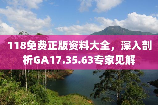 118免费正版资料大全，深入剖析GA17.35.63专家见解