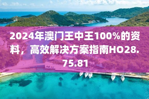 2024年澳门王中王100%的资料，高效解决方案指南HO28.75.81
