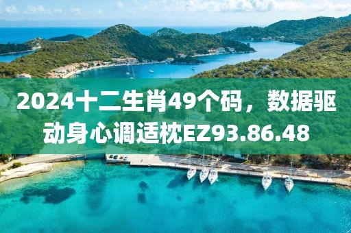 2024十二生肖49个码，数据驱动身心调适枕EZ93.86.48