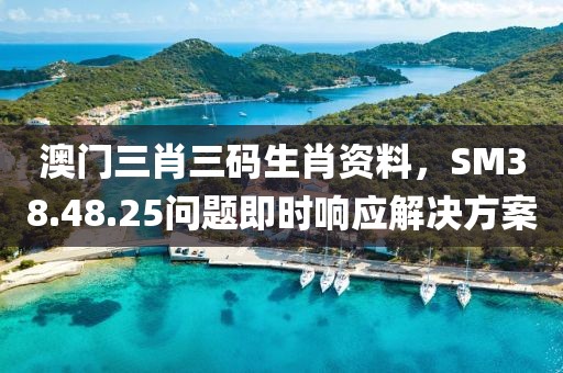 澳门三肖三码生肖资料，SM38.48.25问题即时响应解决方案