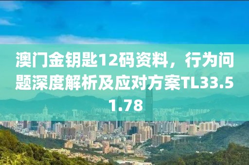 澳门金钥匙12码资料，行为问题深度解析及应对方案TL33.51.78