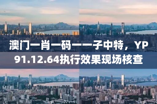 澳门一肖一码一一子中特，YP91.12.64执行效果现场核查