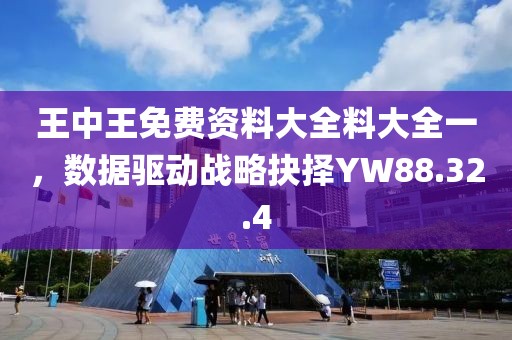 王中王免费资料大全料大全一，数据驱动战略抉择YW88.32.4