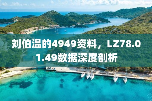 刘伯温的4949资料，LZ78.01.49数据深度剖析