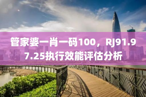 管家婆一肖一码100，RJ91.97.25执行效能评估分析