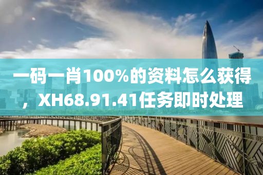 一码一肖100%的资料怎么获得，XH68.91.41任务即时处理