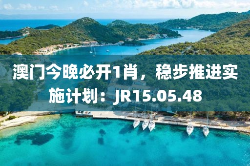 澳门今晚必开1肖，稳步推进实施计划：JR15.05.48
